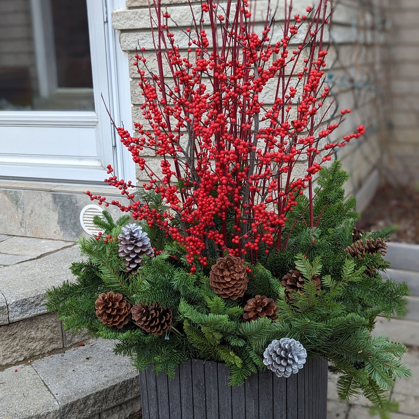 Customize winter/Christmas Planter (1) ilex 冬青