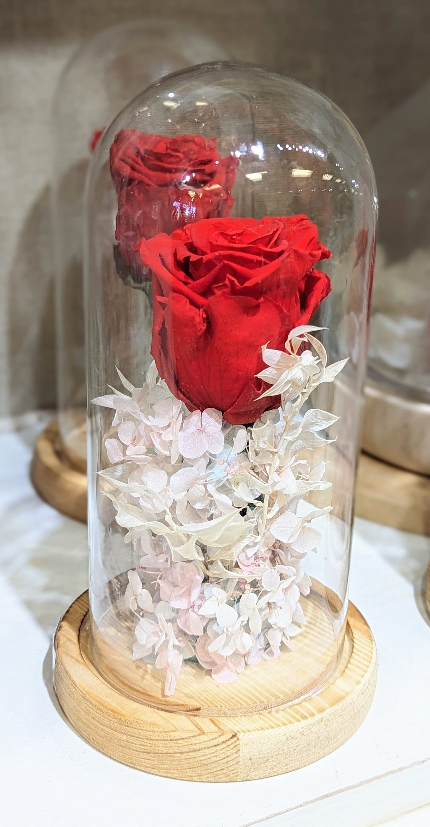 Eternity / preserved Red Rose in glass dome