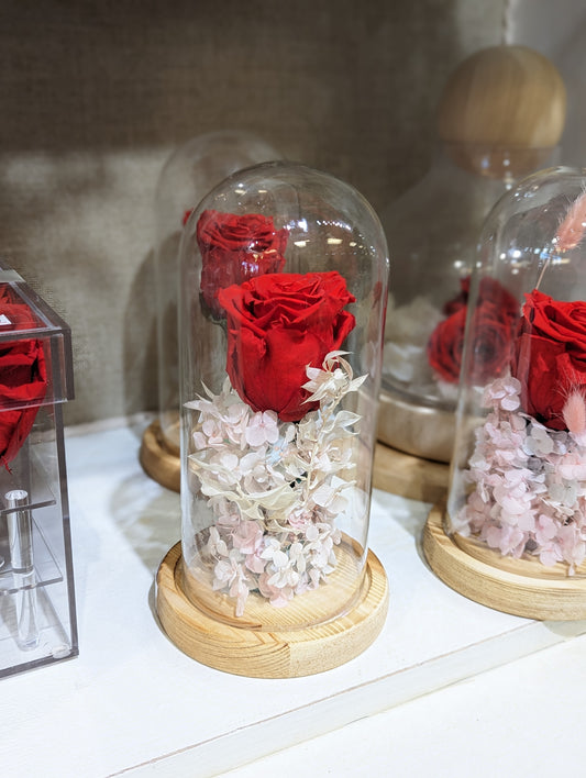 Eternity / preserved Red Rose in glass dome