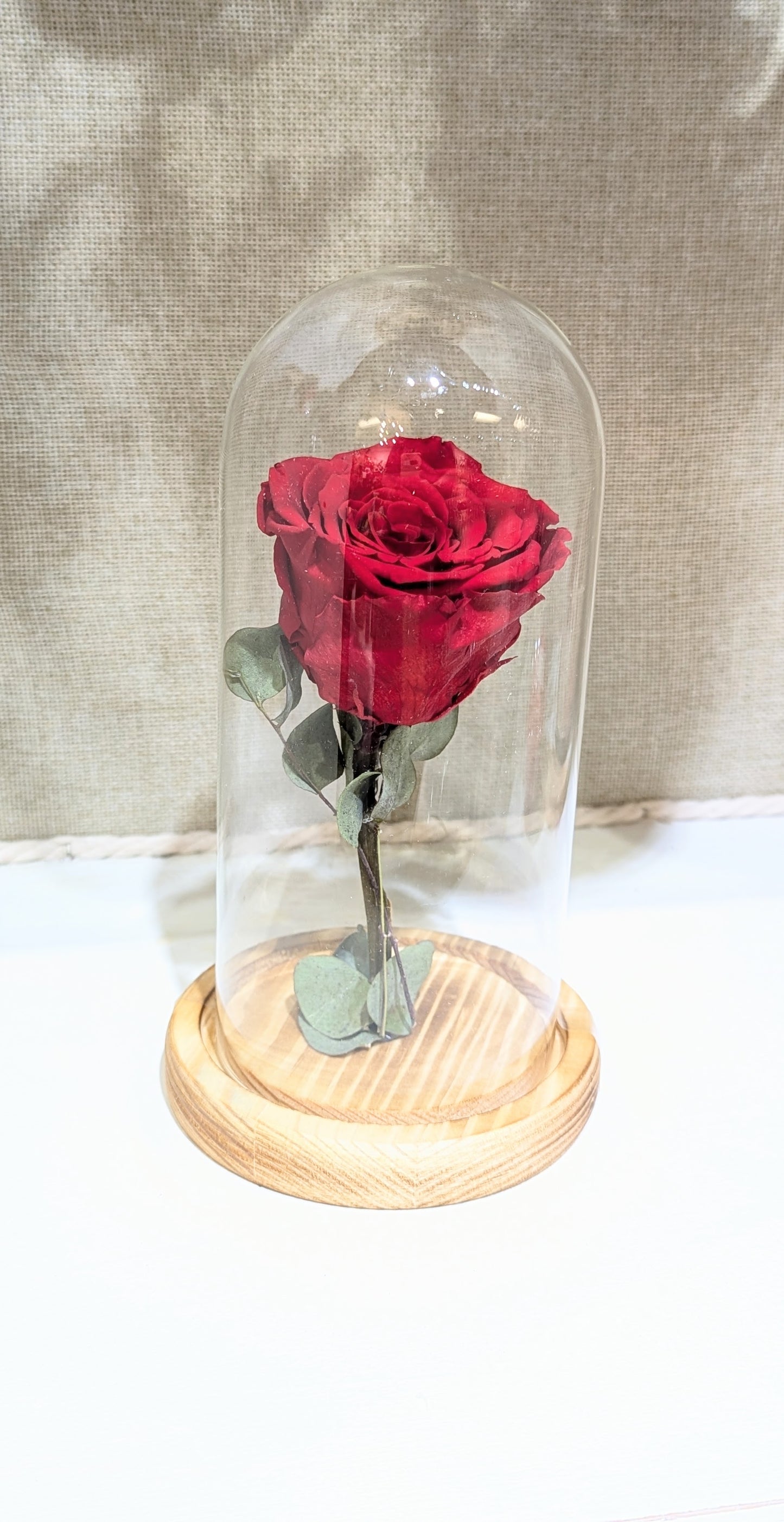Eternity / preserved single Red Rose in glass dome
