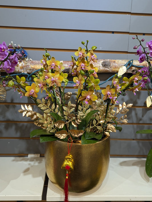 Gold round pot miniature orchid planter 8'' (medium size)