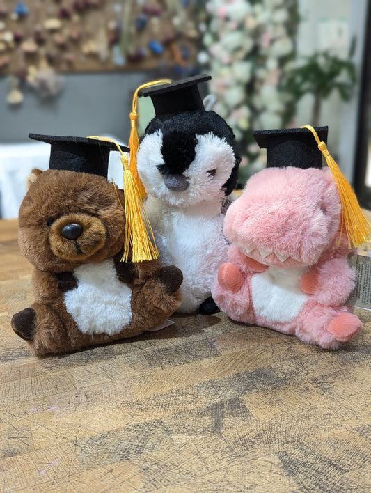 small-medium graduation toys
