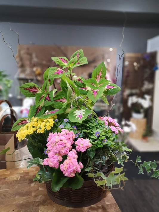 Mixed Flowers Planter basket