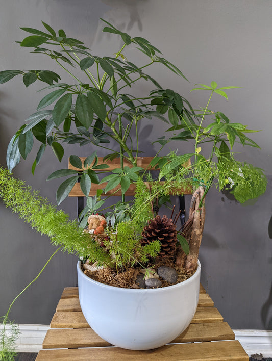 Dish Garden Planter 10'' ceramic