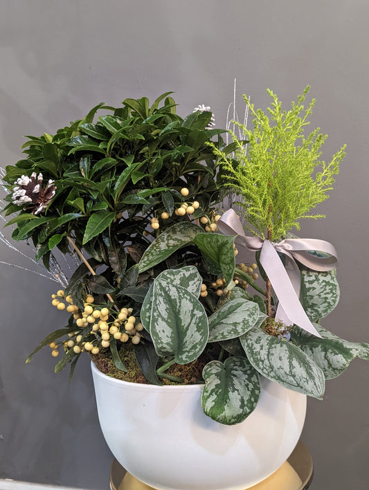 mixed green leaf plants (large size)