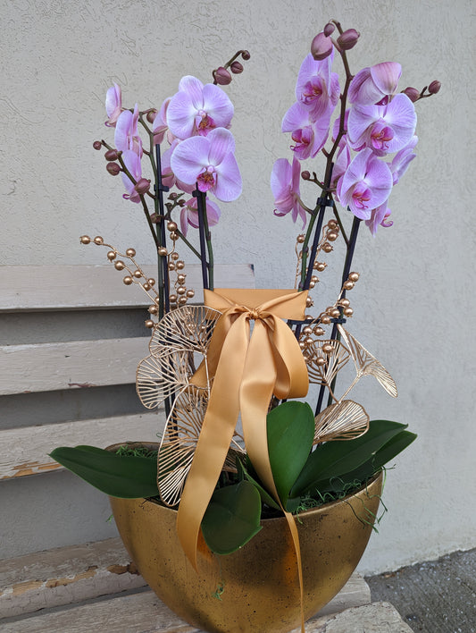 orchid in gold ingot planter 14''( large size) 金元宝003