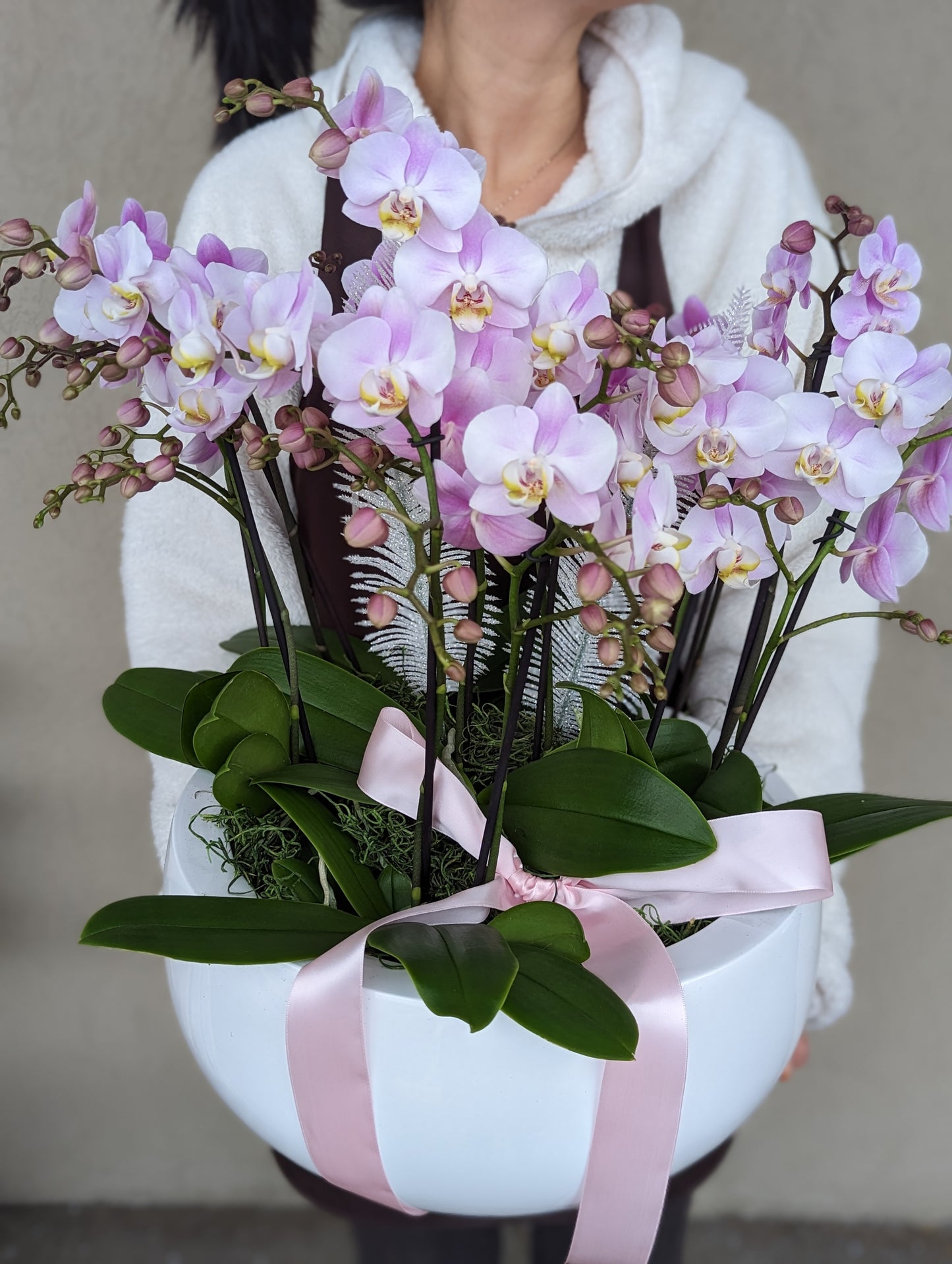 miniature orchid planter 12-19'' 迷你兰花盘 (extra large size) 010