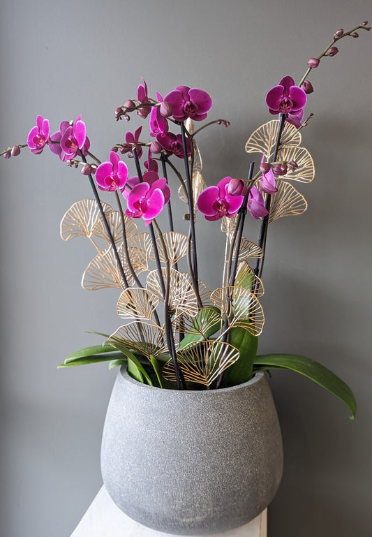 Purple Orchids in Grey stone 12''兰花拼盘 042
