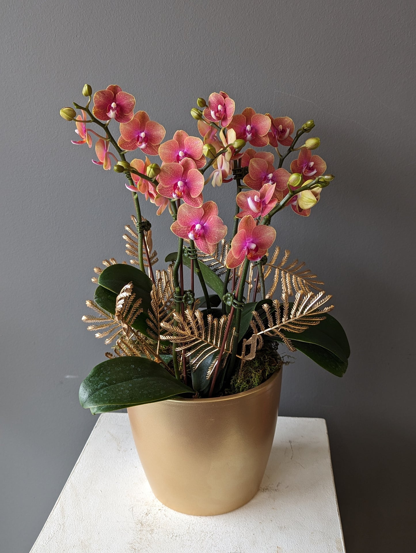 Gold round pot miniature orchid planter 6'' (medium size)