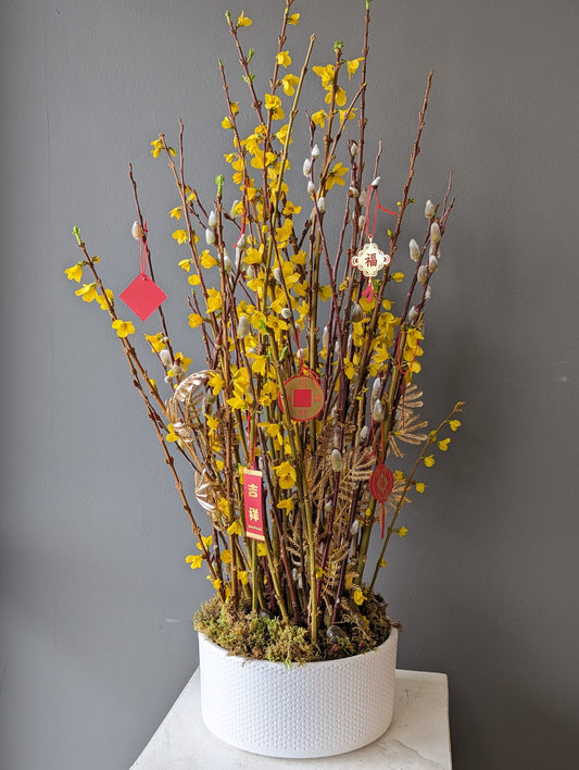 forsythia and pussy willow forest planter 春节森林