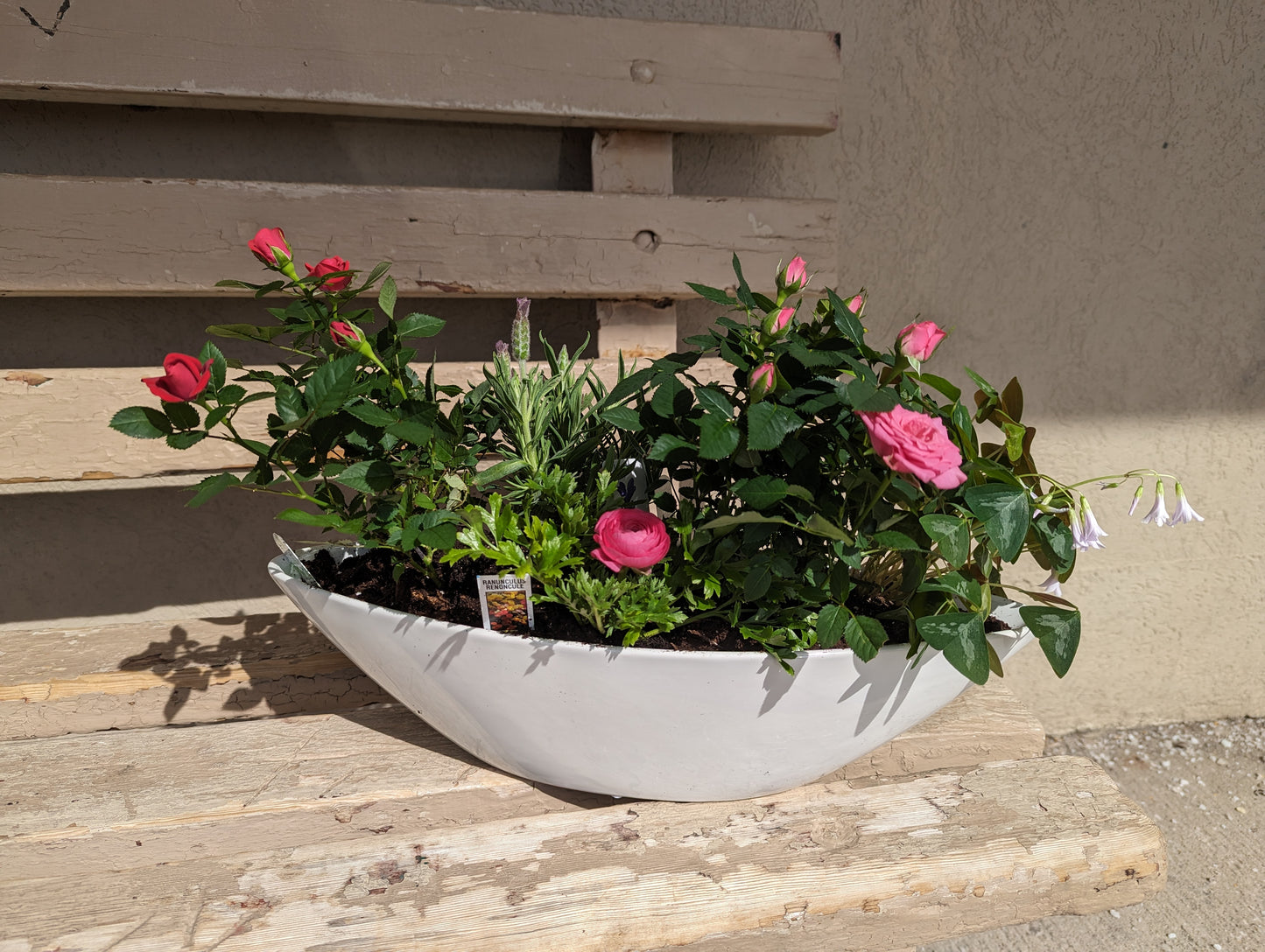 spring flower boat planter (9'')