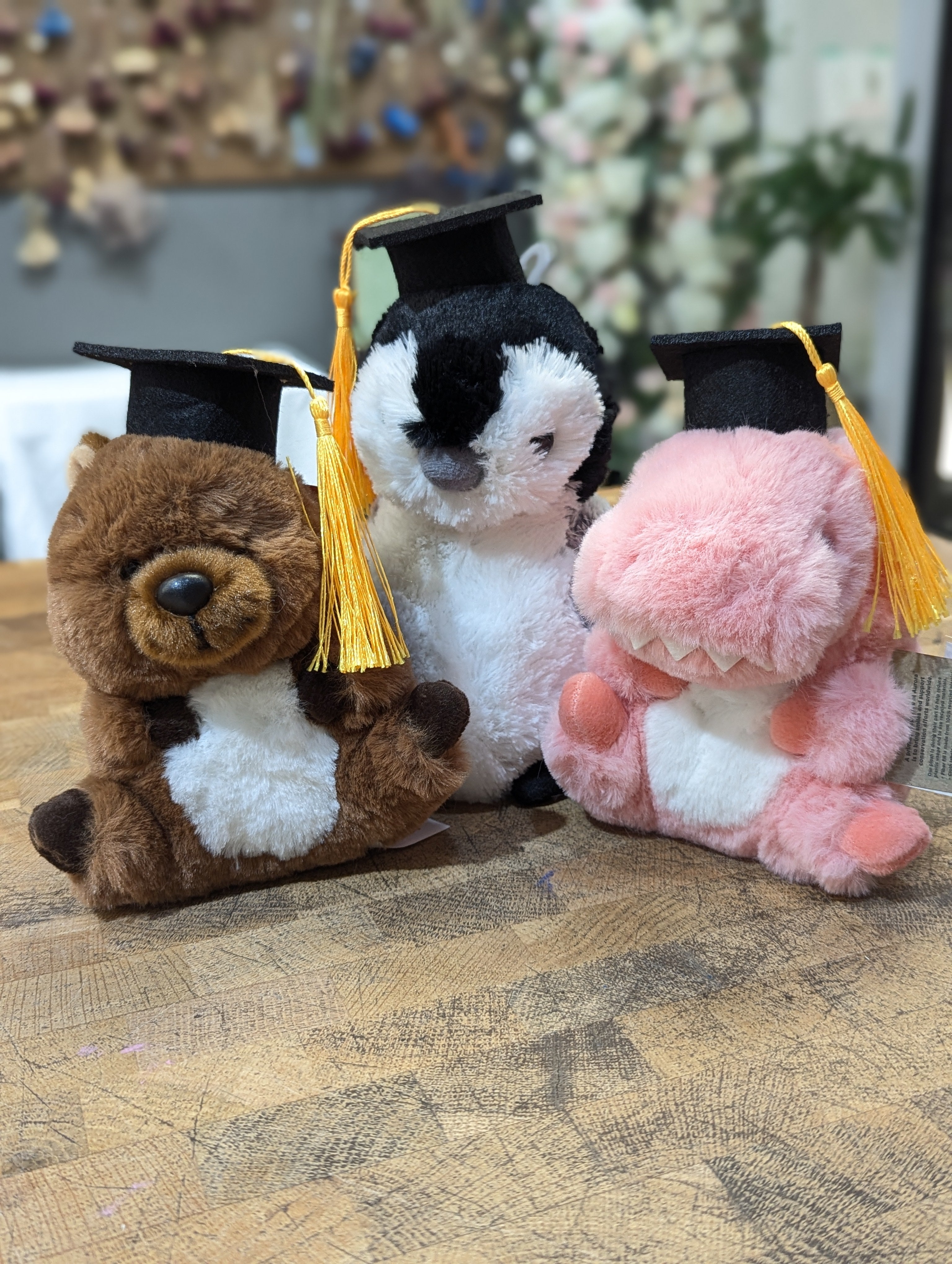 small-medium graduation toys – Floralbay
