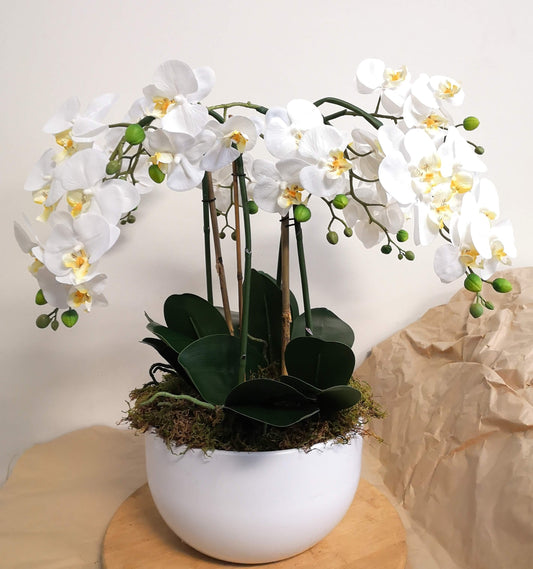 Faux Double orchid planter (large)
