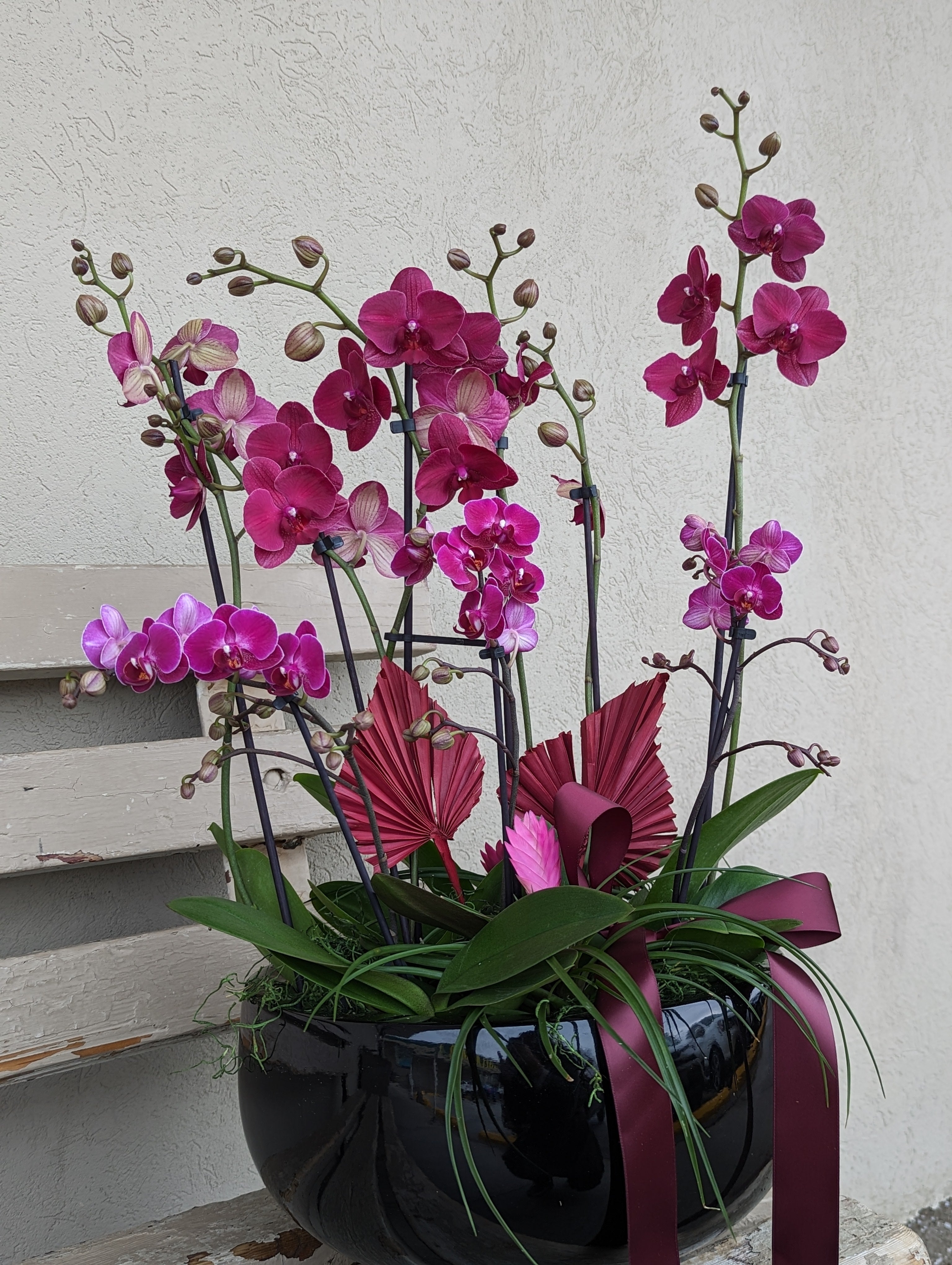 Orchid 兰花 – Floralbay