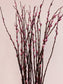 Pussy willow 银柳(白色，粉色，红色）dry
